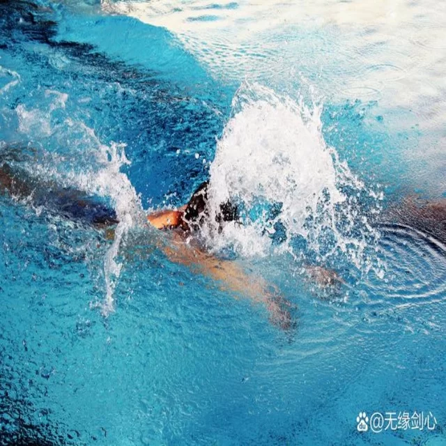 焦点人物与战术分析:热点新闻背后的深层解读